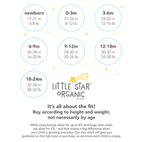 Little Star Organic Baby Boy 2 Pk Rompers