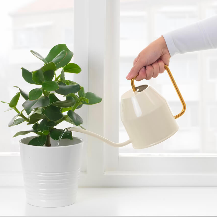 Watering Can