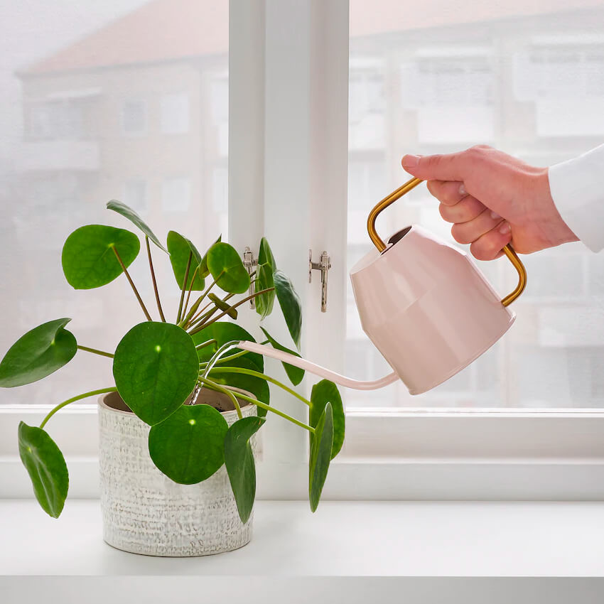Watering Can
